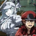 Cells at Work! Code Black
